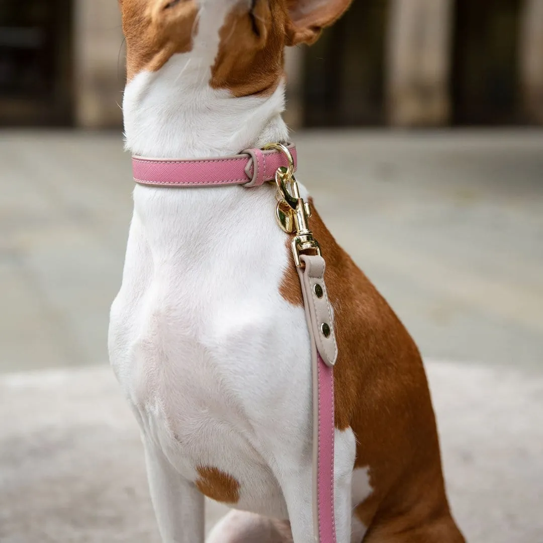 Rio Vegan Leather 4ft Leash | Multiple Colours